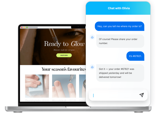 Conversational AI chatbot for ecommerce