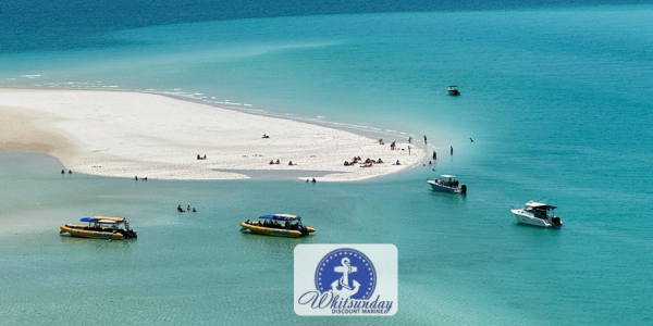 How Whitsunday Discount Marine achieved 10% YoY growth with Neto by Maropost